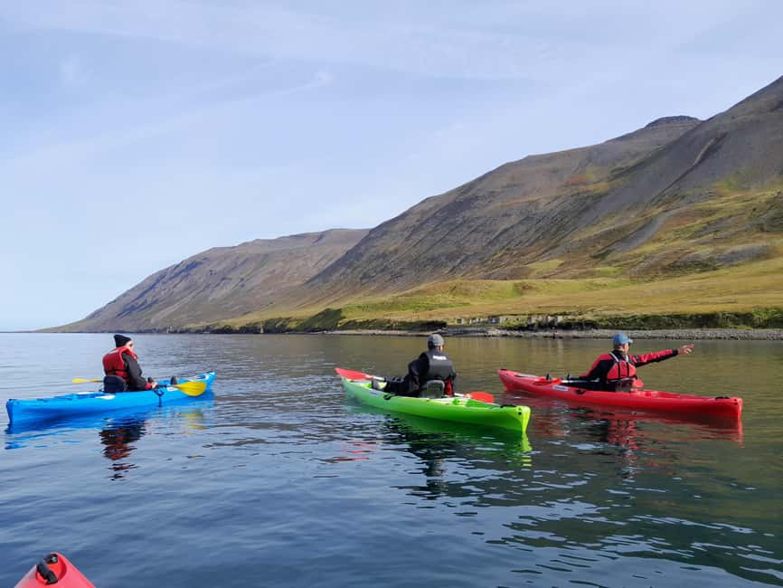 Siglufjörður / Siglufjordur: Guided kayak tour. - Who should book, and who should skip it