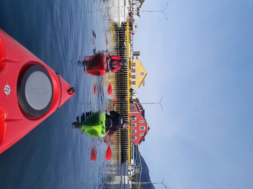 Siglufjörður / Siglufjordur: Guided kayak tour. - Price and what you actually get for $107