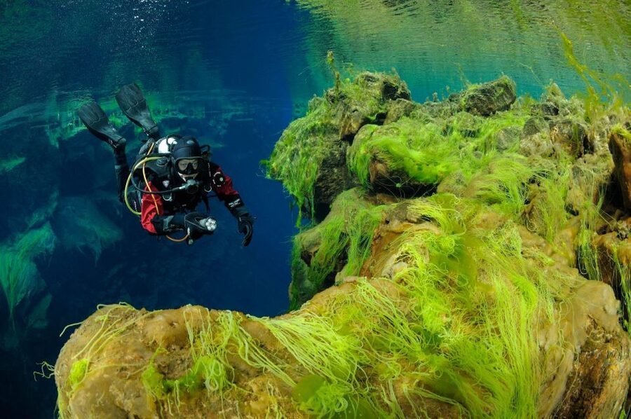 Silfra: Diving Between Tectonic Plates - Who should do Silfra, and who should skip it