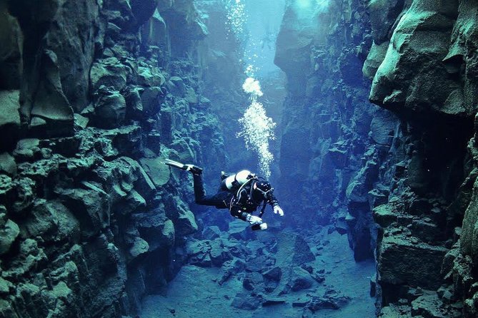 Silfra: Diving Between Tectonic Plates and Pick Up from Reykjavik - Warm up after, hot chocolate and cookies included