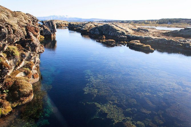 Silfra Drysuit Snorkeling Tour with Free Photos - From Reykjavik - Who should book, and who should think twice