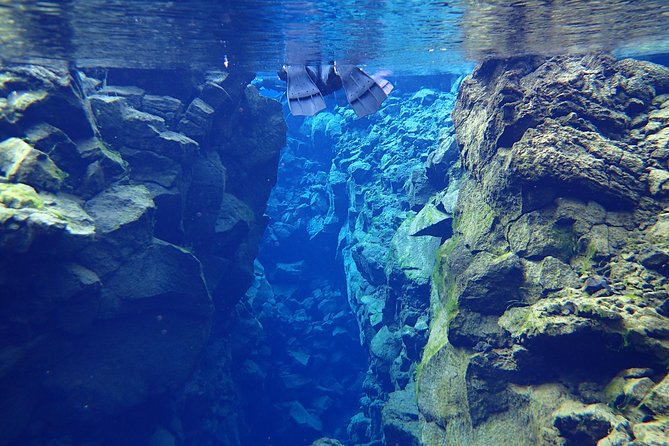 Silfra Fissure Snorkeling From Reykjavík - Free Underwater Photos - What You Get Included: Photos, Snacks, and the Value of “Everything Except Food”
