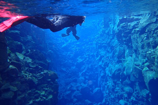 Silfra Fissure Snorkeling From Reykjavík - Free Underwater Photos - Small-Group Size and Guides: Why the Pace Feels More Human