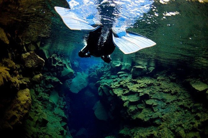 Silfra Fissure Snorkeling From Reykjavík - Free Underwater Photos - Who Should Book This Silfra Tour from Reykjavik?