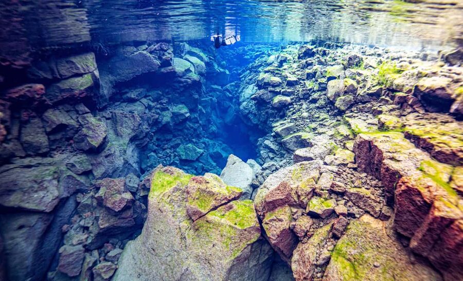 Silfra: Snorkel Between Continents. Free Professional Photos - Meeting point and timing: Park at Thingvellir P5, then walk