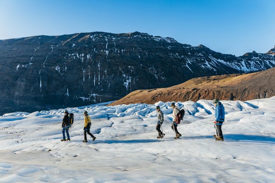 Skaftafell: Falljokull Glacier Easy Group Hike - Key highlights worth planning for