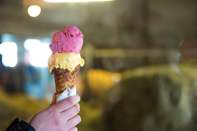 Small-Group Golden Circle Full-Day Tour from Reykjavik - What to pack and how to handle food (because lunch is on you)