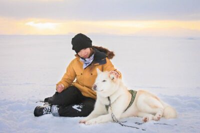 Small Group Husky Sledding Tour from Capital Region