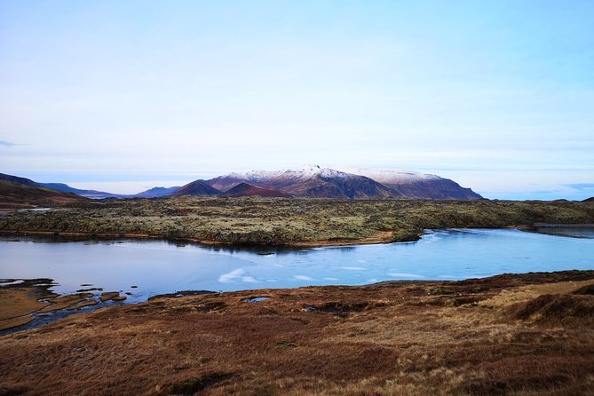 Small-Group Snaefellsnes National Park Day Trip from Reykjavik - Stop 2: Ytri Tunga beach for seal spotting and farm-country calm