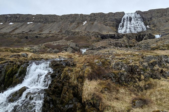 Small Group Tour Ísafjordur Dynjandi Waterfall & Secret Stop - Food, drinks, and money value at $215 per person