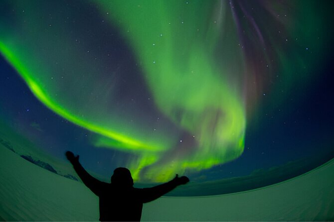 Small-Group Tour: Northern Lights with Photos & Hot Chocolate - How the guide finds better sky visibility (and why it matters)