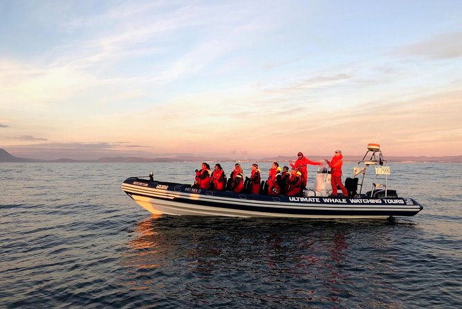 Small-group Whale Watching in the Midnight Sun from Reykjavík - Harpa Concert Hall views that make the evening feel bigger