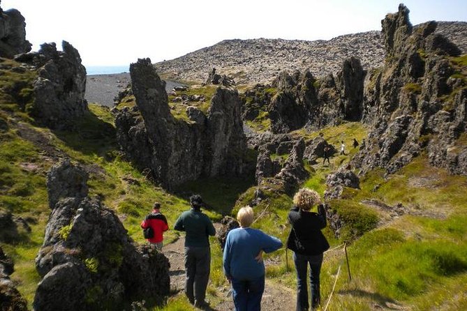 Snaefellsnes National Park and Natural Wonders from Reykjavik - Setting Off: Reykjavik Pickup, Start Time, and Coach Reality