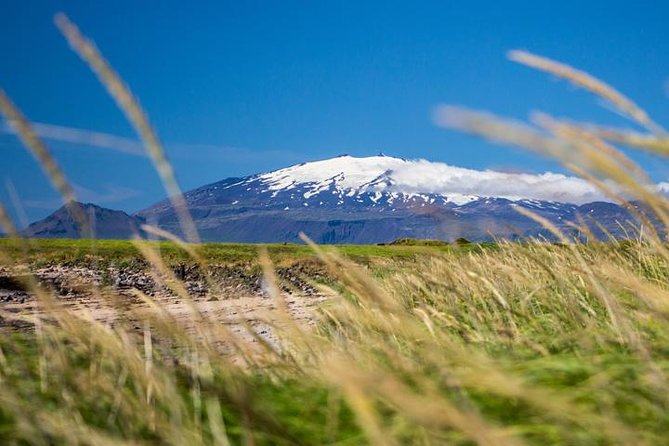 Snaefellsnes NP Small-Group Tour with Local Lunch from Reykjavik - A focused Snæfellsnes tour for when time is tight