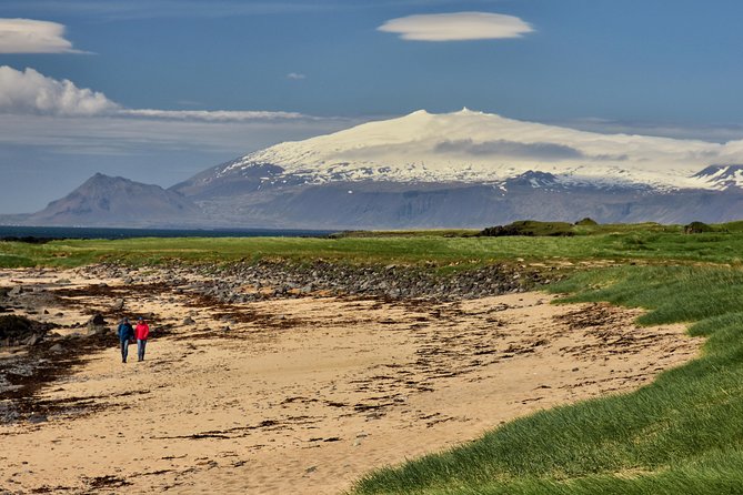 Snaefellsnes NP Small-Group Tour with Local Lunch from Reykjavik - Pickup reality in Reykjavik: find the right stop fast