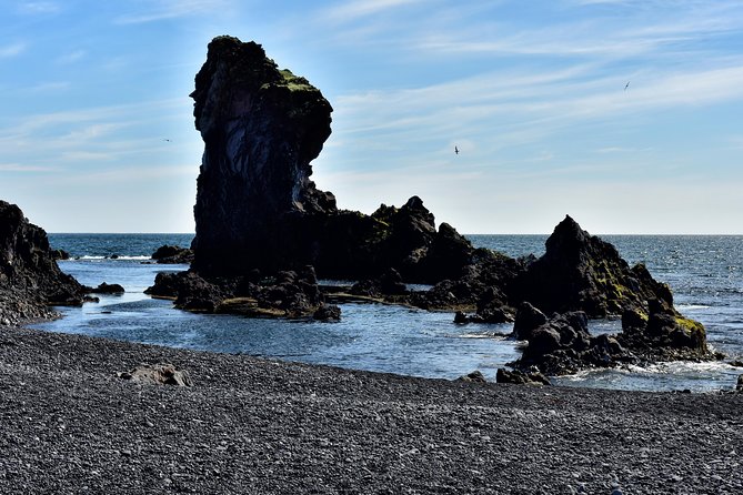 Snaefellsnes NP Small-Group Tour with Local Lunch from Reykjavik - Ytri Tunga Beach and the seal colonies: watch, do not chase