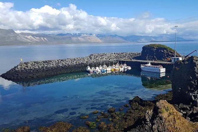 Snaefellsnes Peninsula. Private Day Tour from Reykjavik - Stop 5: Djupalonssandur beach, lava textures, and the Grimsby Epine