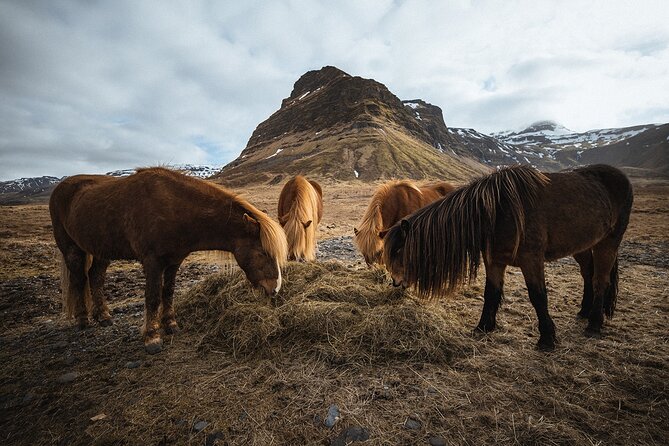 Snæfellsnes Peninsula | Private tour | PRO Photos included - Kirkjufell and Kirkjufellsfoss: the most photographed mountain for a reason