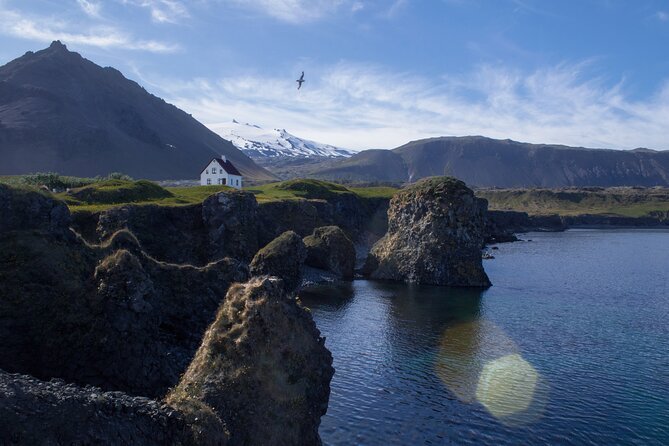 Snaefellsnes Small Group Tour with Homemade Meal from Reykjavik - Ytri Tunga Beach Seals: Best Chance, Not a Guarantee
