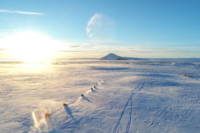 Snowmobile Tour by Lake Mývatn - What You Are Really Getting: an hour on the frozen ice