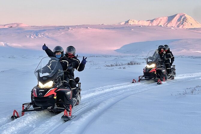 Snowmobile Tour by Lake Mývatn - Price and Value: is $224.69 fair for this?