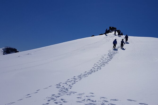 Snowmobile tour on Vatnajökull - Price and Value: Is $272 Worth It for Vatnajökull?