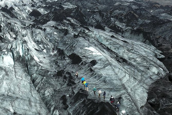 Solheimajokull Glacier 3-Hour Small-Group Hike - Flora and Fauna Lessons in a Place You Would Not Expect