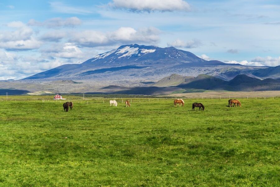 South Coast Classic: Full-Day Tour from Reykjavik - Roadside volcano views: Hengill, Hekla, and the distant glaciers