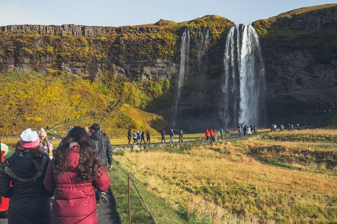 South Coast Day Tour Black Sand Beach & Waterfalls from Reykjavik - Reynisfjara Black Sand Beach, Basalt Formations, and Wave Rules