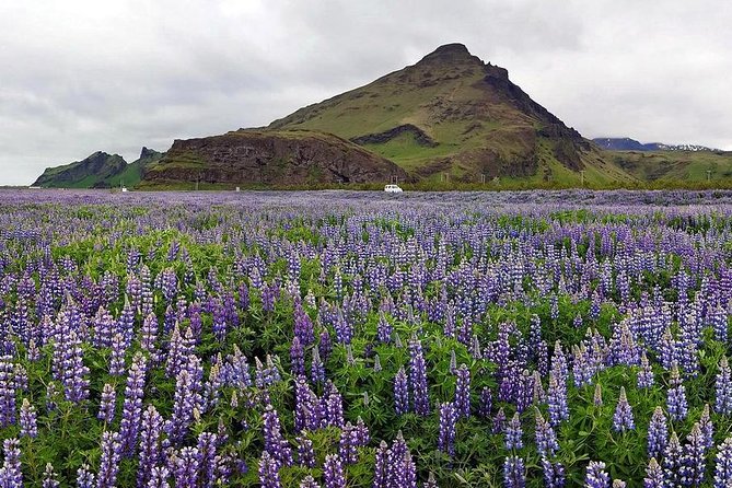 South Coast. Private Day Tour from Reykjavik - Skogafoss With Stairs And Spray, Then Lunch Without The Rush