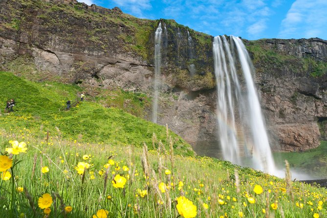 South Coast Sagas: Small Group Tour with Pick-up from Reykjavik - Sólheimajökull Glacier Viewing Without the Hike