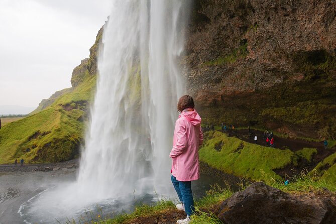 South Iceland, Glacier and Black Sand Beach Small Group Tour - Key highlights to know before you go