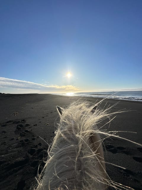 southern Iceland: Black beach riding tour - Key Things You’ll Notice on the Black Beach Ride