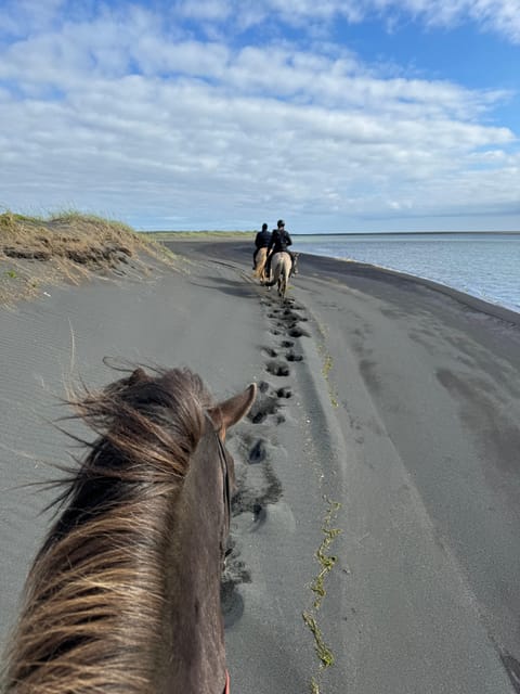 southern Iceland: Black beach riding tour - Where You Go: Grímsstaðir in Southern Iceland