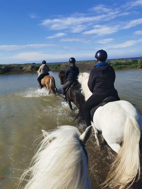southern Iceland: Black beach riding tour - Price and Value: What $194 Covers in the Real World
