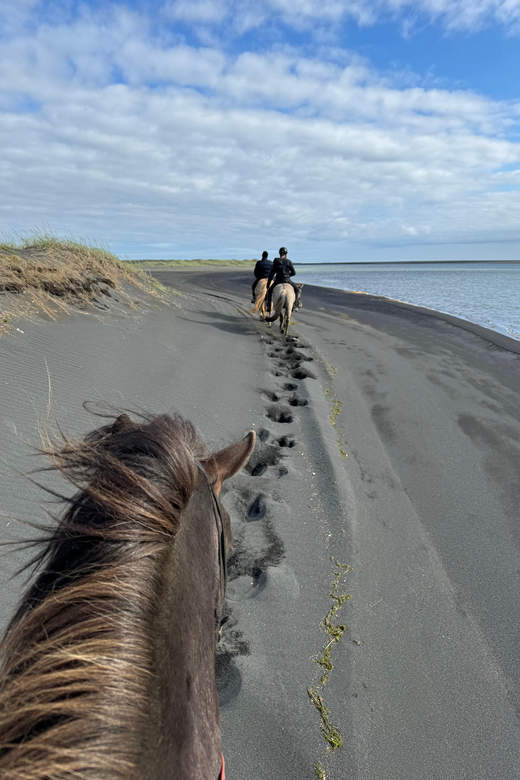 southern Iceland: Black beach riding tour - Practical Booking Tips That Make the Ride Better