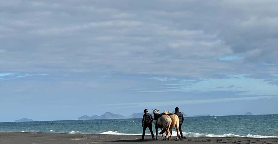 southern Iceland: Black beach riding tour - Should You Book the Black Beach Horse Ride?