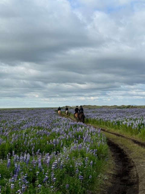southern Iceland: Black beach riding tour - The 2-Hour Plan: From Helmet Up to Black Sand Coastline
