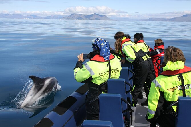 Speedboat Whale Watching Small-Group Tour in Reykjavik - Speedboat Whale Watching in Reykjavik, the practical way