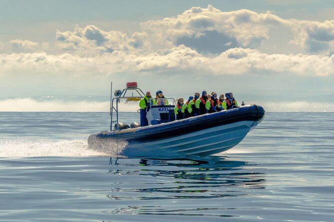 Speedboat Whale Watching Small-Group Tour in Reykjavik - Sun Voyager and Harpa, seeing Reykjavik from the water