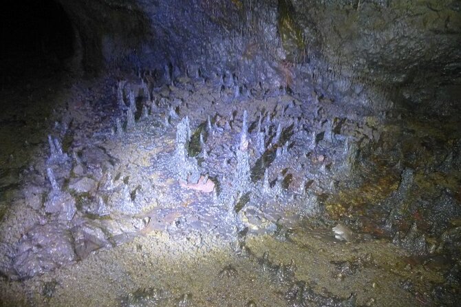 The Cave Explorer - The 1.5-Hour Walk: What Happens Inside the Cave
