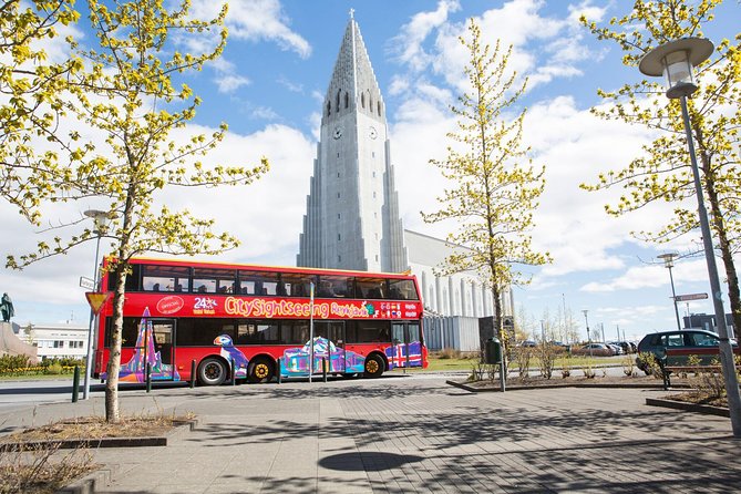 The Golden Circle and City Sightseeing - Fridheimar Farm: the non-waterfall moment that breaks up the day