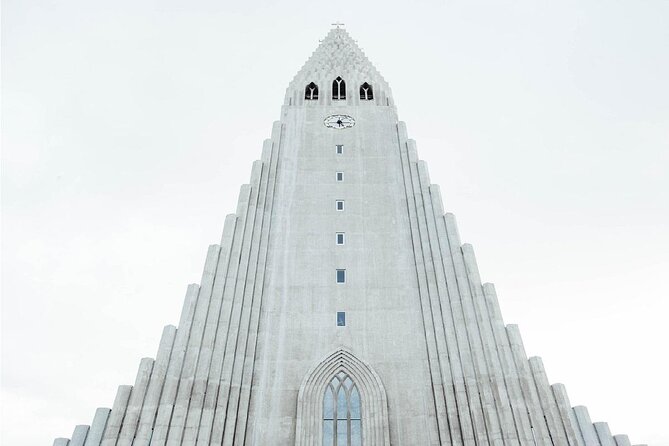 The Reykjavik Cat Walking Tour - Quick highlights