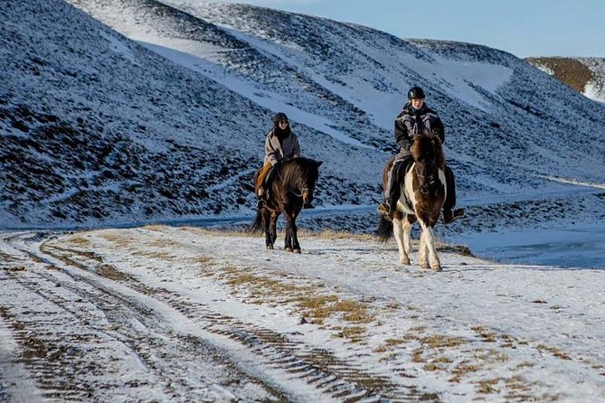 The Viking Horse Riding Experience in North Iceland - Key highlights at a glance