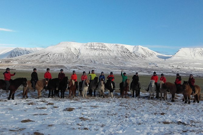 The Viking Horse Riding Experience in North Iceland - Viking Horse Riding in North Iceland: What You’re Really Signing Up For