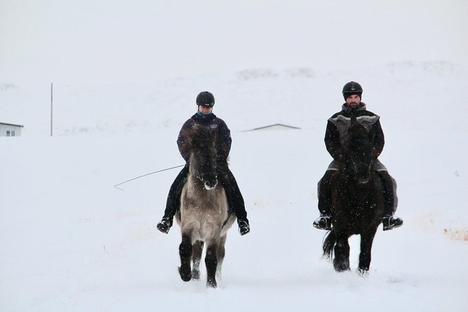 The Viking Horse Riding Experience in North Iceland - The Full 90 Minutes on Horseback: Snow Trails, Falls, and River Moments
