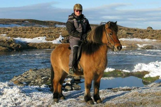 The Viking Horse Riding Experience in North Iceland - The Icelandic Tölt Gait: Why This Tour Feels Like a Real Skill, Not a Stunt