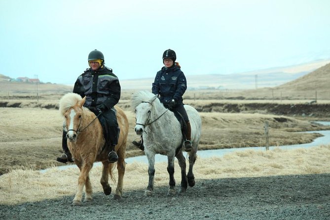 The Viking Horse Riding Experience in North Iceland - Horses and Safety: Calm Behavior, Matching Horses to Riders