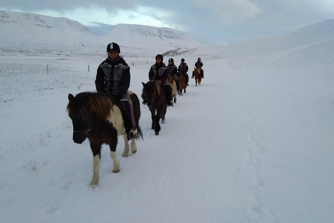 The Viking Horse Riding Experience in North Iceland - Meet the Guides: Coaching Styles That Really Help First-Timers