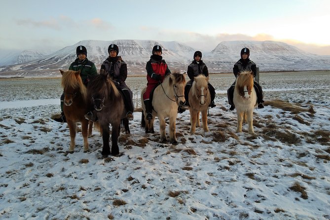 The Viking Horse Riding Experience in North Iceland - Timing and Group Size: How Up to 8 Riders Changes the Experience